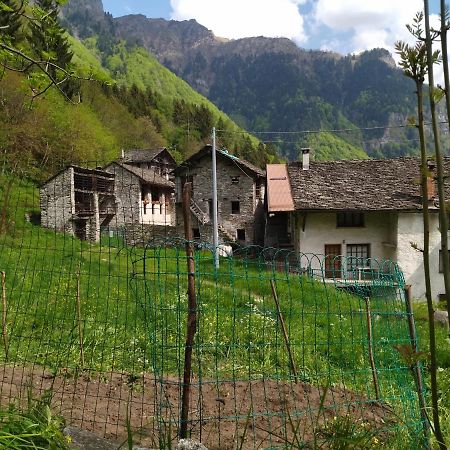 Il Fiume Di Fianco. Appartamento Alta Valsesia Mollia Luaran gambar