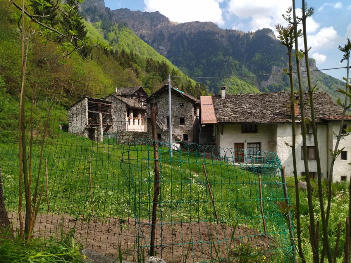 Il Fiume Di Fianco. Appartamento Alta Valsesia Mollia Luaran gambar